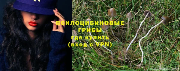 прущий лед Алексин