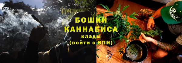 дмт Нея