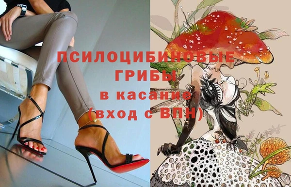 ПСИЛОЦИБИНОВЫЕ ГРИБЫ Абдулино