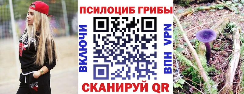 Псилоцибиновые грибы мухоморы  купить   Старая Купавна 